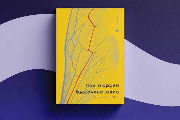 Книжковий Арсенал-2026: від родинних таємниць до політичних інтриг у перекладах 10