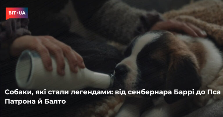 Історії чотирилапих героїв: від Баррі до Пса Патрона 8