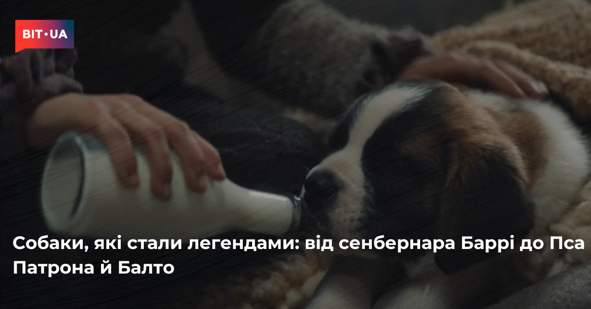 Від сенбернара Баррі до Пса Патрона й Балто – bit.ua0