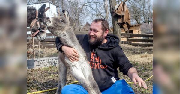 Український стартап продає осляче молоко по тисячі гривень за літр 17