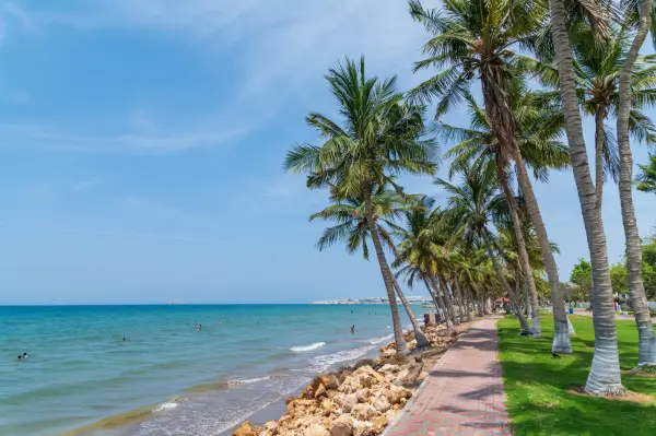 Palm trees on Qurum beach near Muscat, Oman.