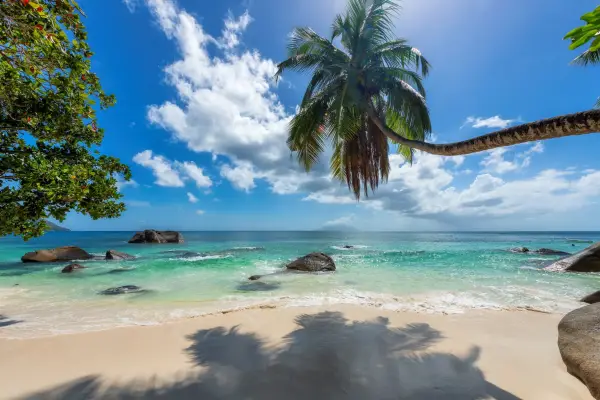 A beautiful beach in the Seychelles.