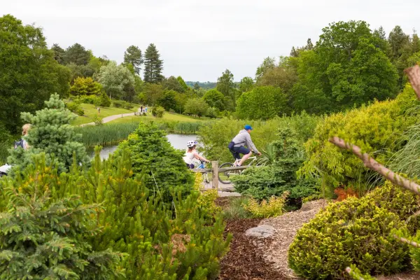 WANCMB Bedgebury national pinetum and forest, lady oak lane, goudhurst, kent, uk